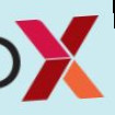 Quad X Inc