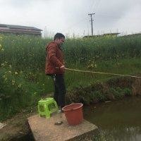 王惠平
