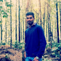 Pradeep Reddy
