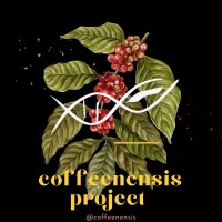 Coffenensis Project