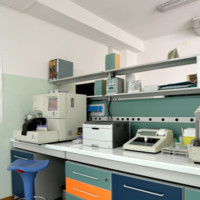 Nadia Verducci Biolab2004