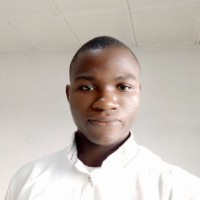 Johnson Confidence udofia
