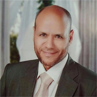 Mohamed Shaalan