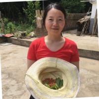 小小鸟