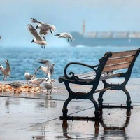 Abdullah Mohammed Albalushi