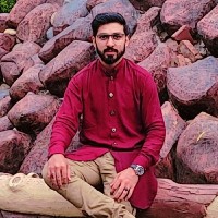 Muhammad Hammad Ali