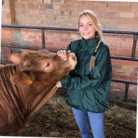 Berta Clemente Basols