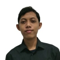 Hilmi Luthfi M