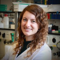 Katarina W. Schmidt, PhD