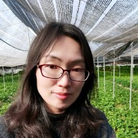 Maggie Huang