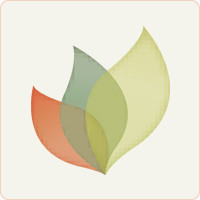 Senses Web Solutions