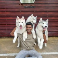 Arvind Rajandran