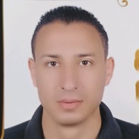 Nasr Adel