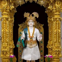 Yogesh Z Patel