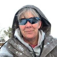Wendie Whitehouse