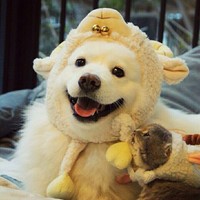 周华栋
