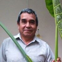 Hernan Ricardo Herrera Aparcana