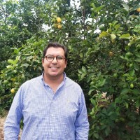 João Henrique Raposo Delgado