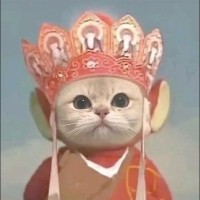 尚泽军