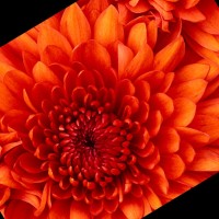 Ajlani Mohamed hafedh