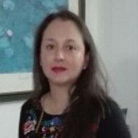 Diana patricia Velasquez Castillo