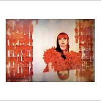 Tina Phillips