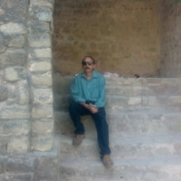 zaidi syed nusrat