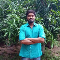 Gokulraj Ravichandran