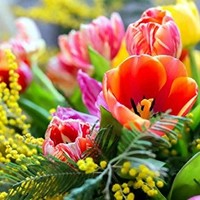 I love