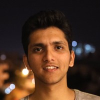 Kaushik N