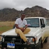 Ali Nour