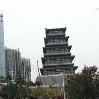 王来乐