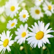 Karla Rivera