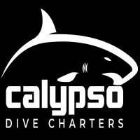 Calypso Dive Charters