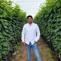 Heber López Flores