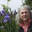 Nancy Taylor Robson