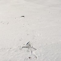 吕海林