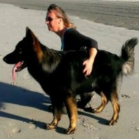 Susanne Assen