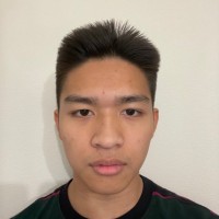 Hieu Doan