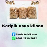 Distributor Keripik usus