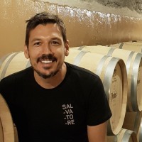 Mauricio Salerno