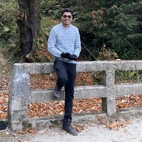 Hitesh J.