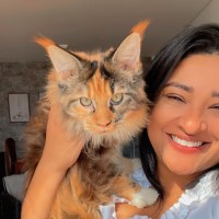 Gatil Zaf - Maine Coon