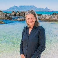 Sandra Robb Residential Real Estate At Pam Golding Properties