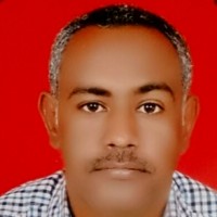 Mamoon Abbas