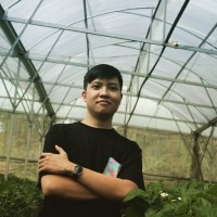 Khoa Duong