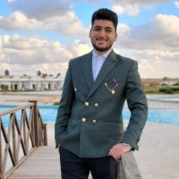 Mohamed Eldokki