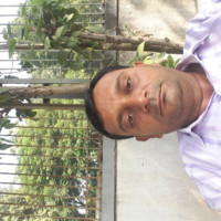 Rohitkumar Senjaliya