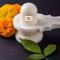 Shalu Sharma