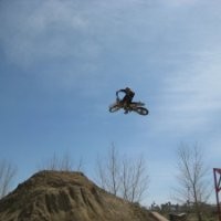 David Stepp